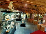 Musée Le Naturoptère