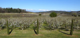 Vue sur la nature provençale