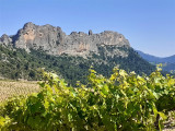 Dentelles de Montmirail : Balade accompagnée à vélo