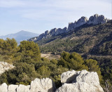 Dentelles de Montmirail : Balade accompagnée à vélo