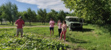 Safari viticole en Land Rover - Domaine Fontaine du Clos