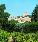 Balade accompagnée à Vélo à Châteauneuf du Pape