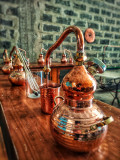 Atelier de création gin / vodka_Saint-Didier