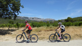 Dentelles de Montmirail : Balade accompagnée à vélo