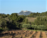 Vue sur les Dentelles de Montmirail
