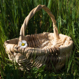 Coguivannerie : découverte de la vannerie 7 et 8 avril (demi-journée ou journée)_Carpentras