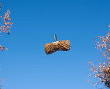 Coguivannerie : découverte de la vannerie 7 et 8 avril (demi-journée ou journée)_Carpentras