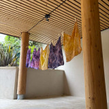 Initiation à la teinture végétale_Bédoin