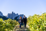 Balade et dégustation au cœur des Dentelles de Montmirail_Lafare - © Château La Croix des Pins / Domaine de Cassan Balade et dégustation au cœur des Dentelles de Montmirail_Lafare