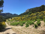 Randonner Malin : Escapade douce au cœur des massifs du Vaucluse_Mazan