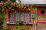 « Petite roseraie »_Bédoin