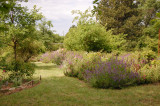 « Petite roseraie »_Bédoin - © Roseraie de Gérenton « Petite roseraie »_Bédoin