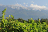 Pique nique vigneron - © Château Pesquié Pique nique vigneron