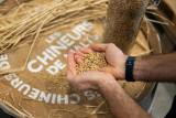 Visite guidée Les Chineurs de Malts