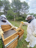 Découverte immersive du monde des abeilles_La Roque-Alric - © Le Rucher des Dent'ailes Découverte immersive du monde des abeilles_La Roque-Alric