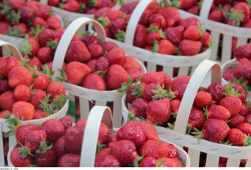 Fraises