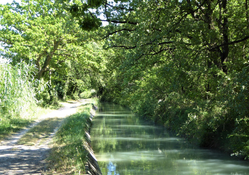 Balade à vélo