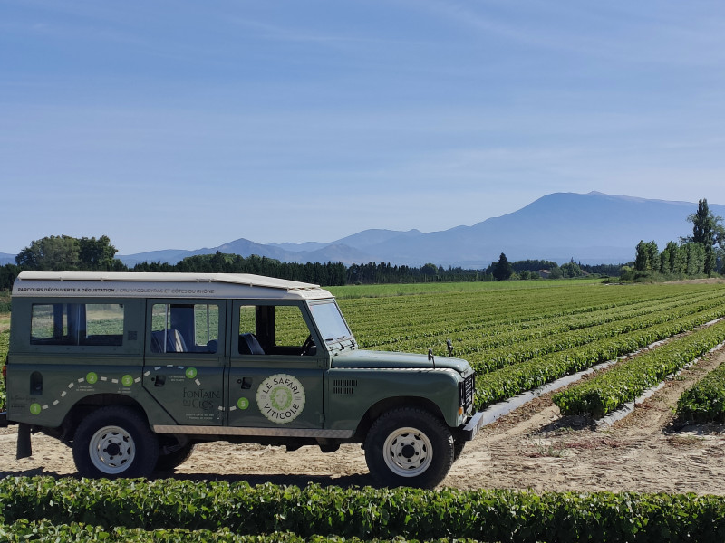 Safari viticole en Land Rover - Domaine Fontaine du Clos