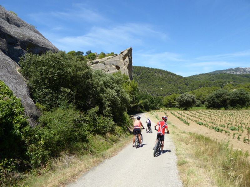 Beaumes de Venise : balade accompagnée à vélo