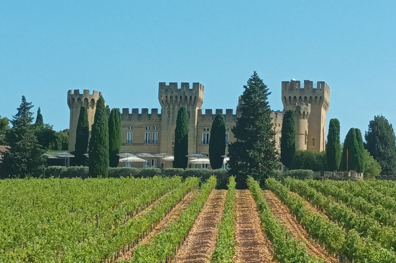 Balade accompagnée à Vélo à Châteauneuf du Pape