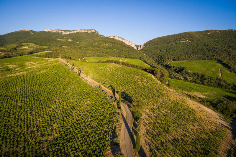 Rando-Trail des Dentelles_Gigondas