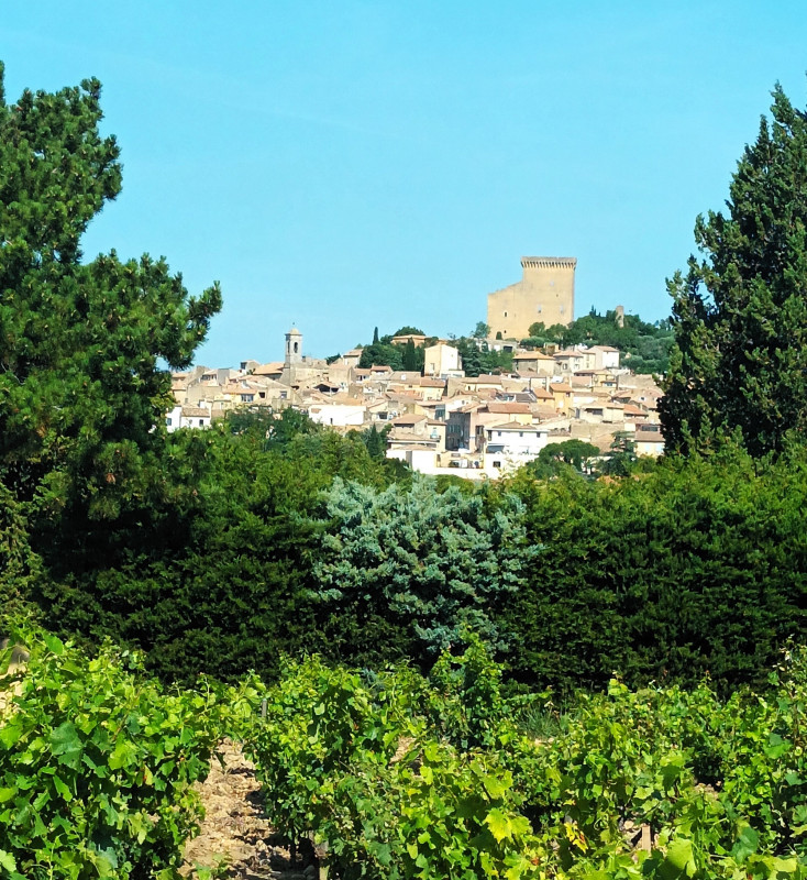 Châteauneuf du Pape et son célèbre vignoble Châteauneuf du Pape et son célèbre vignoble