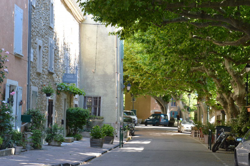 Enquête dans les vignes - Murder party à Vacqueyras_Vacqueyras