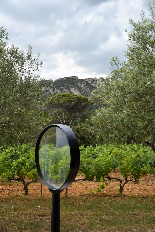 Enquête dans les vignes