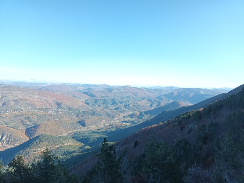 Cartonivo: Randonnée Le Ventoux côté nature_Bédoin