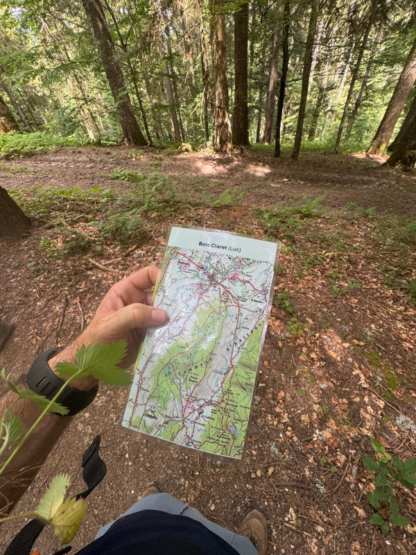 Cartonivo: Stage Initiation Carto & Orientation_Bédoin