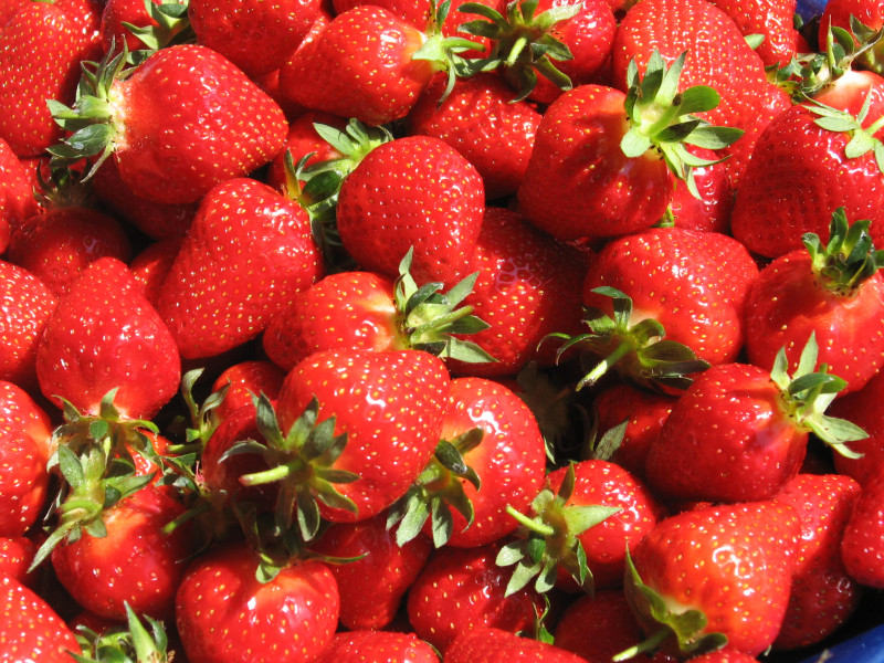 Pause Comtadine : Autour de la fraise de Carpentras_Carpentras