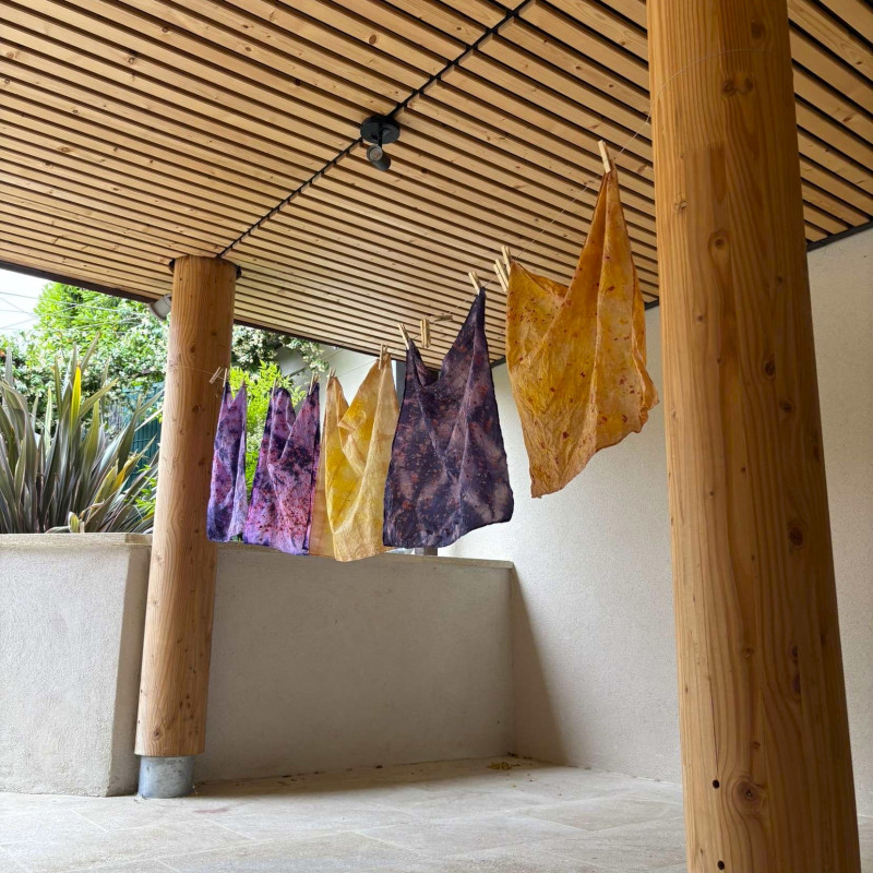 Initiation à la teinture végétale_Bédoin