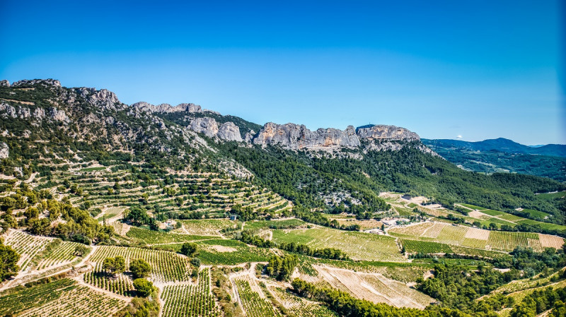 Masterclass Comprendre le Vin au Domaine de Coyeux