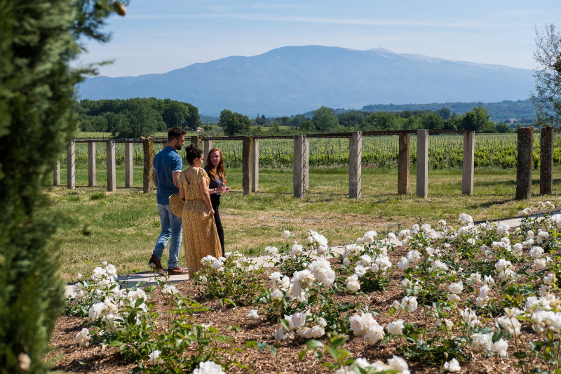 Visite guidée de la Cuverie, du chai, dégustation sur cuve et plateau apéritif_Mazan - © Château La Croix des Pins Visite guidée de la Cuverie, du chai, dégustation sur cuve et plateau apéritif_Mazan