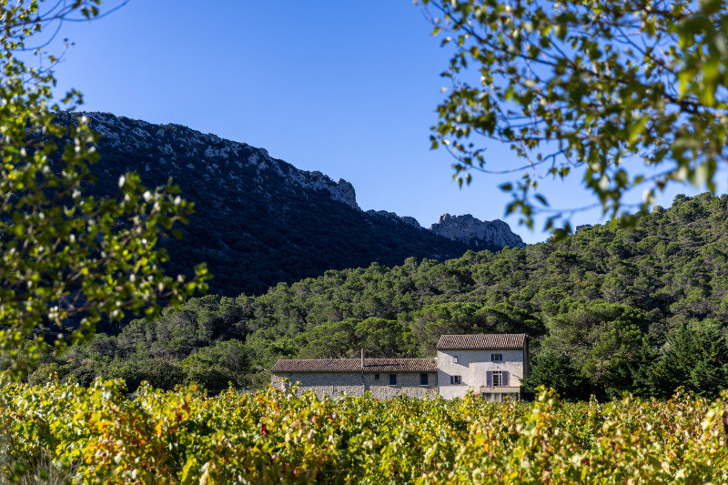 Balade et dégustation au cœur des Dentelles de Montmirail_Lafare - © Château La Croix des Pins / Domaine de Cassan Balade et dégustation au cœur des Dentelles de Montmirail_Lafare