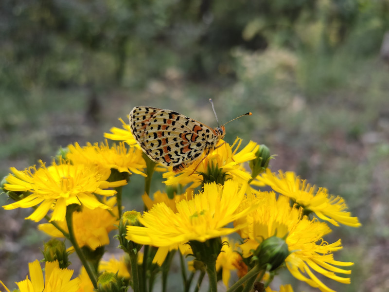 Randonner Malin : Escapade douce au cœur des massifs du Vaucluse_Mazan