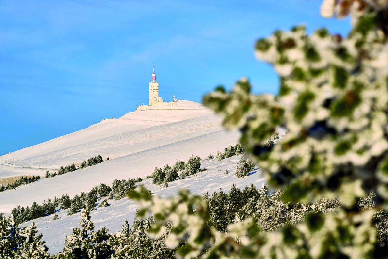 Cartonivo: Trail Montée du ventoux_Bédoin