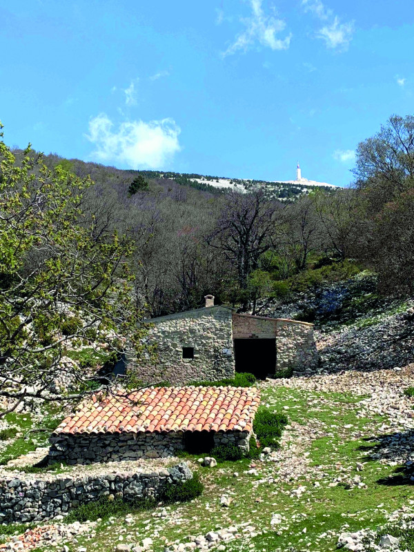 Cartonivo: Randonnée Tour des Jas_Bédoin