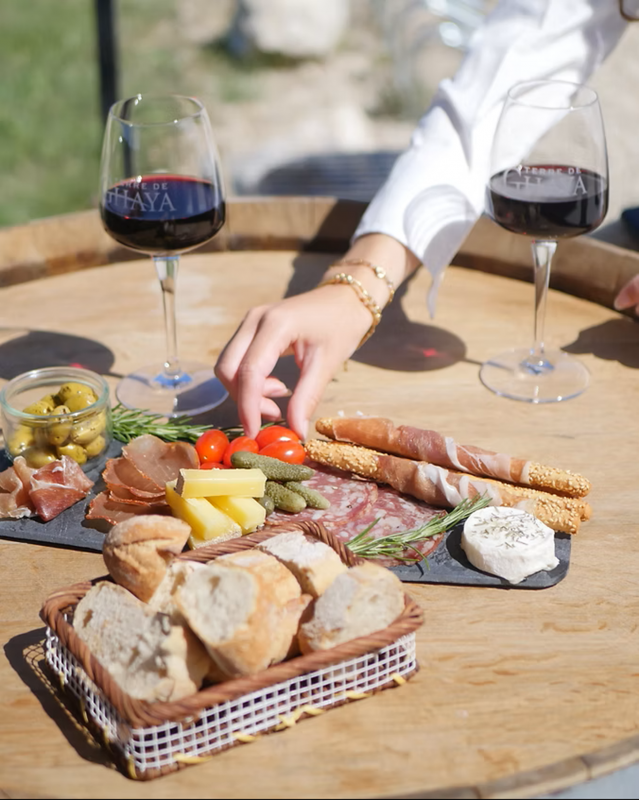 Terre de Ghaya : Randonnée accompagnée en Quad, découverte du vignoble et dégustation au milieu des vignes avec dégustation de vins avec petite planche charcuterie fromage_Bédoin