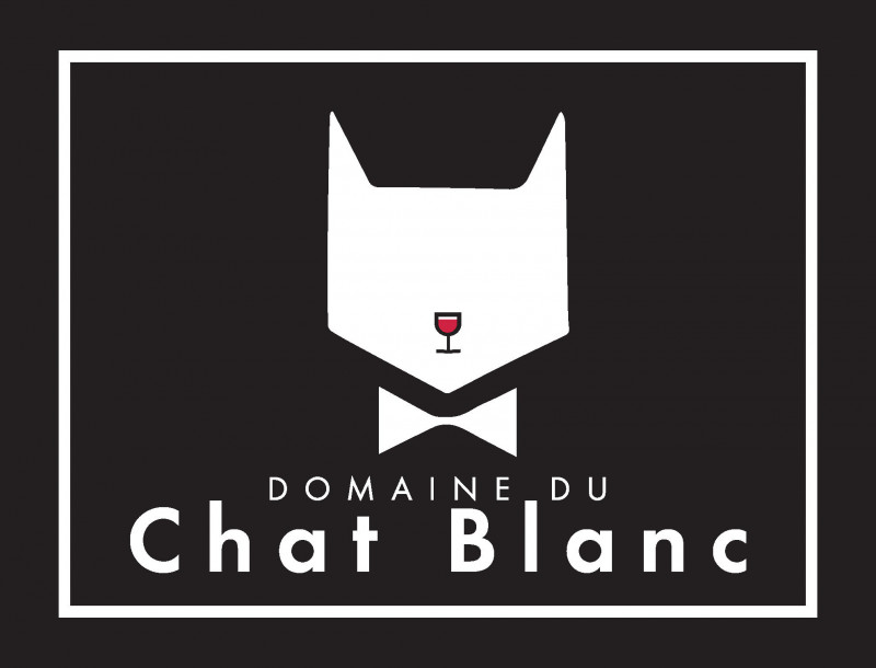 Festival Ventoux Saveurs “Apéro jazz au Chat Blanc” - Loïc Fauche et les ateliers du Conservatoire d’Avignon_Saint-Didier - © Domaine Chat Blanc Festival Ventoux Saveurs “Apéro jazz au Chat Blanc” - Loïc Fauche et les ateliers du Conservatoire d’Avignon_Saint-Didier