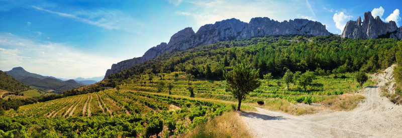 Dégustation  au Domaine des Florets_Gigondas