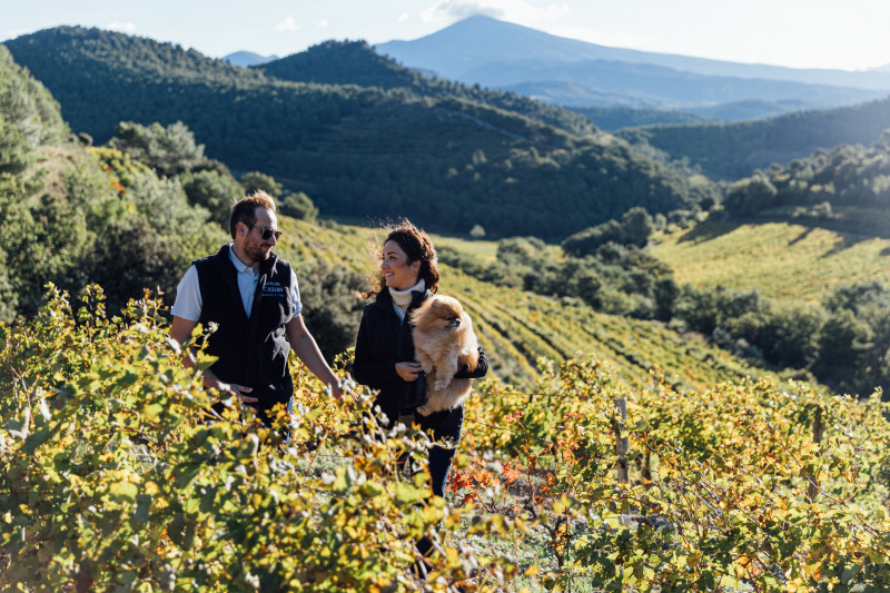 Balade et dégustation au cœur des Dentelles de Montmirail_Lafare
