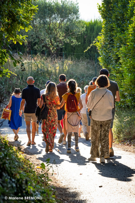 img-20240813-wa0008-63458 img-20240813-wa0008-63458