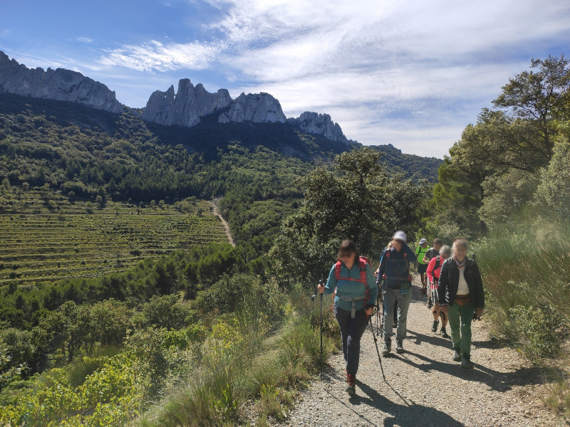 img-20250927-133559-62604