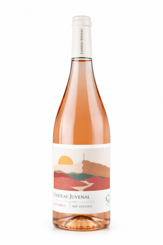 ribes-du-vallat-rose-62260